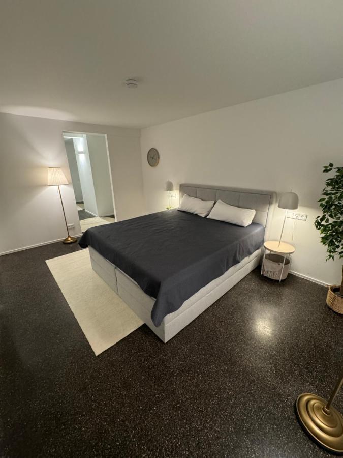 Isaak Appartment Stadtjuwel Валдсхут-Тинген Екстериор снимка