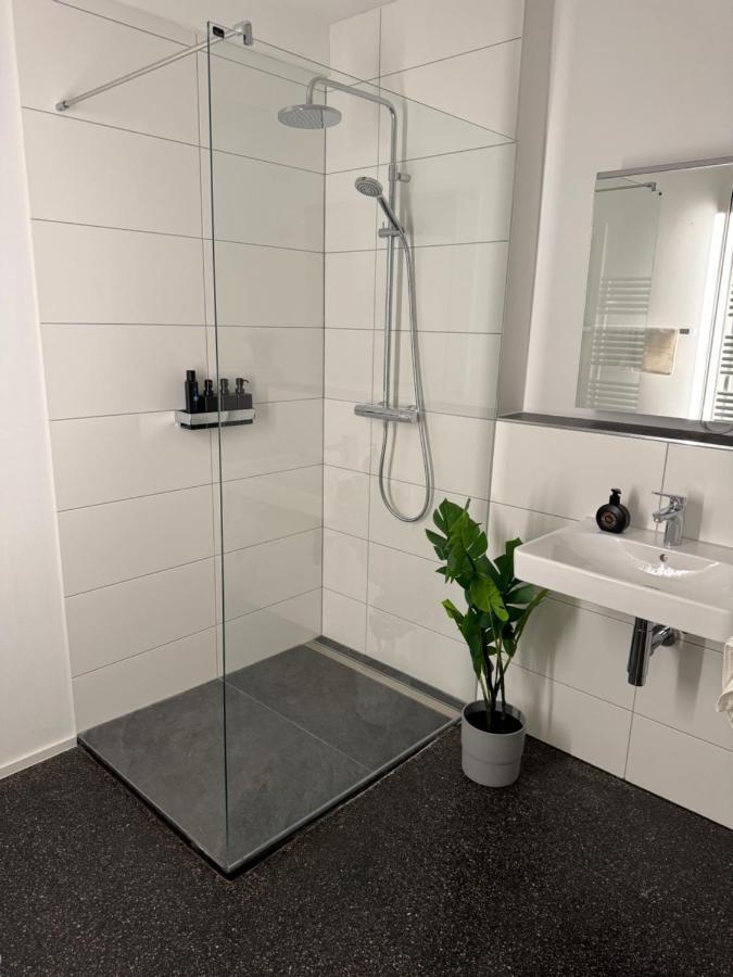 Isaak Appartment Stadtjuwel Валдсхут-Тинген Екстериор снимка