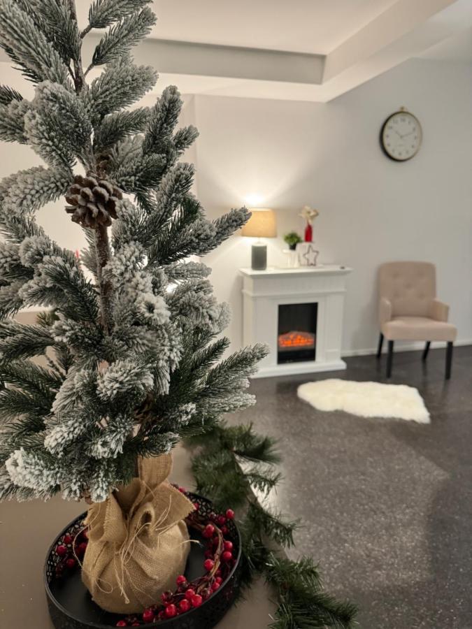 Isaak Appartment Stadtjuwel Валдсхут-Тинген Екстериор снимка