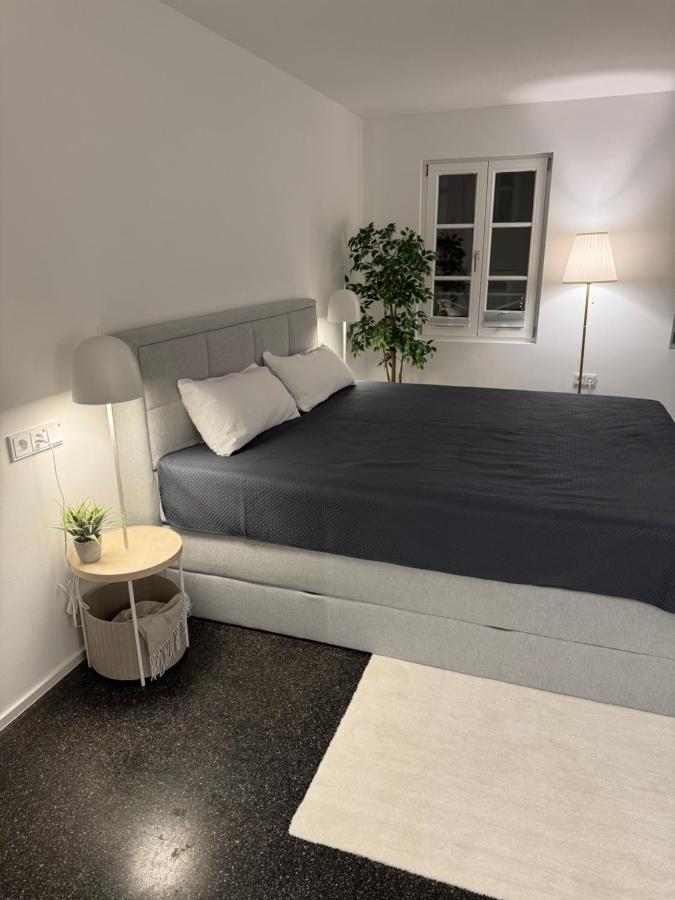 Isaak Appartment Stadtjuwel Валдсхут-Тинген Екстериор снимка